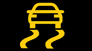 Traction Control Symbol